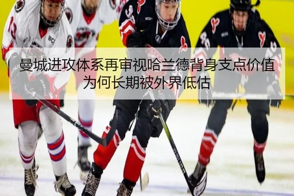 img_1783024097199_824_0_245.jpg（kaiyun）